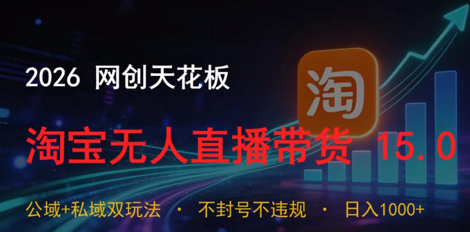 2026网创天花板，淘宝无人直播带货15.0，公域+私域双玩法，日入1k+，不违规不封号【揭秘】-点子口袋网