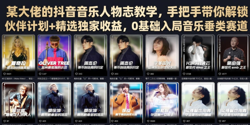 某大佬的抖音音乐人物志教学，手把手带你解锁伙伴计划+精选独家收益，0基础入局音乐垂类赛道-点子口袋网