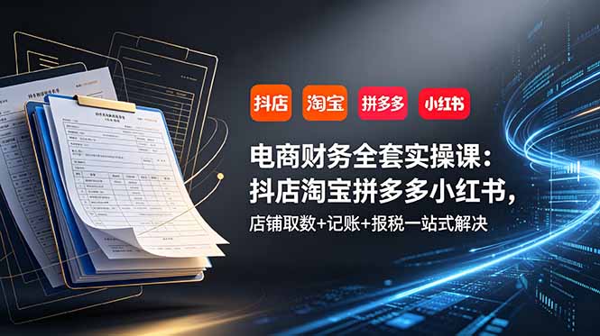 电商财务全套实操课：抖店淘宝拼多多小红书，店铺取数+记账+报税一站式解决-点子口袋网