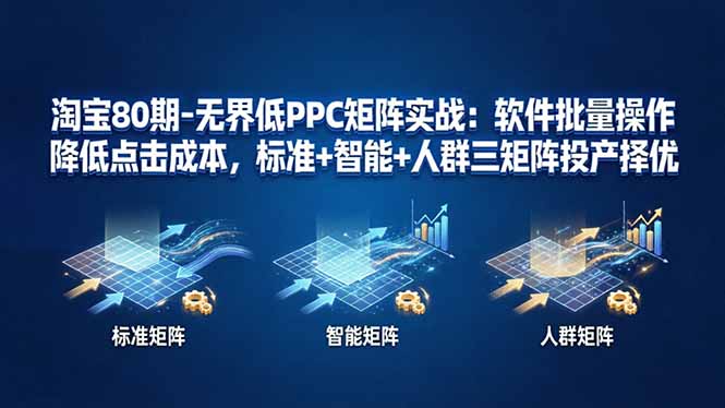 淘宝80期-无界低PPC矩阵实战：软件批量操作降低点击成本，标准+智能+人群三矩阵投产择优-点子口袋网