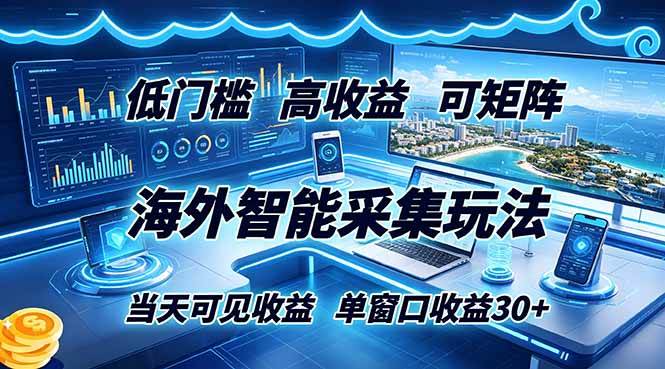 （18955期）海外智能采集玩法，低门槛高单价可矩阵，当天可见收益，单窗口30+-点子口袋网