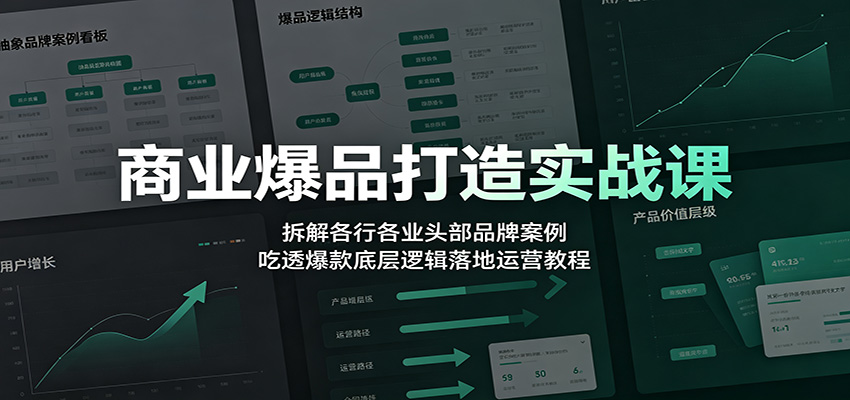 商业爆品打造实战课：拆解各行各业头部品牌案例，吃透爆款底层逻辑落地运营教程-点子口袋网