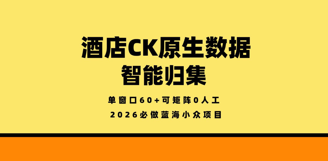 酒店CK原生数据智能归集，单窗口60+可矩阵0人工，2026必做蓝海小众项目【揭秘】-点子口袋网