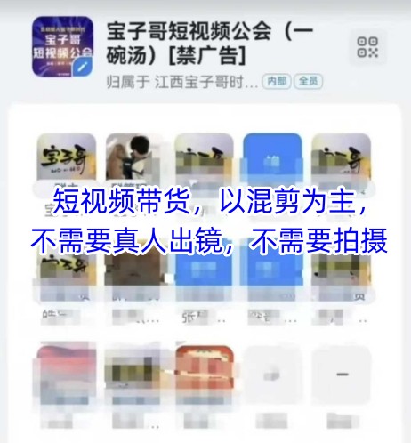 宝子哥头部团队短视频带货，以混剪为主，不需要真人出镜，不需要拍摄【更新26年3月】-点子口袋网