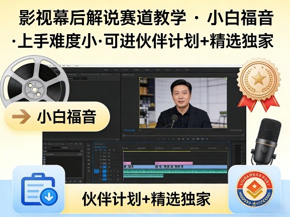 某大佬的影视幕后解说赛道教学，小白福音，上手难度小，可进伙伴计划+精选独家-点子口袋网