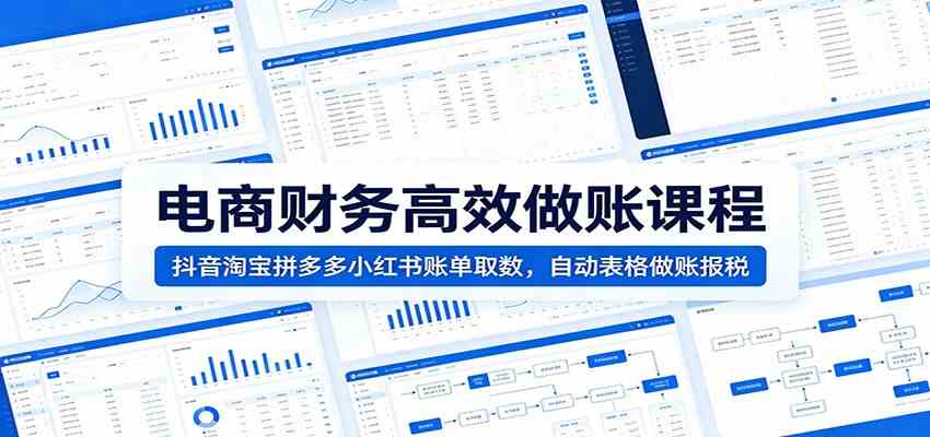 电商财务高效做账课程：抖音淘宝拼多多小红书账单取数，自动表格做账报税-点子口袋网