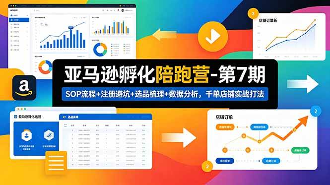 （18752期）亚马逊孵化陪跑营-第7期：SOP流程+注册避坑+选品梳理+数据分析，千单店铺实战打法-点子口袋网