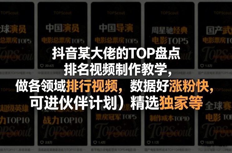 抖音某大佬的TOP盘点排名视频制作，做各领域排行视频，数据好涨粉快，可进伙伴计划＋精选独家等-点子口袋网
