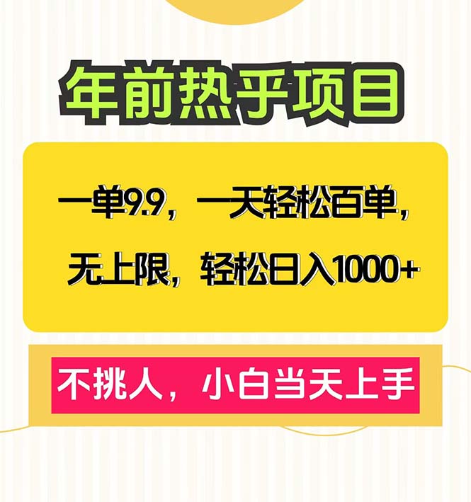 一单9.9，一天百单无上限，不挑人，小白当天上手，轻松日入1000+-点子口袋网