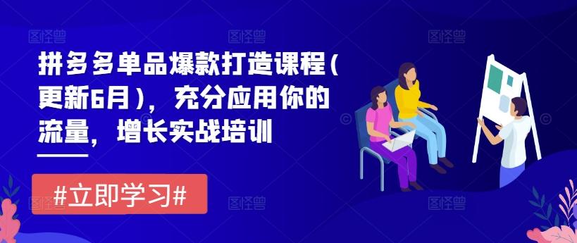 拼多多单品爆款打造课程(更新6月)，充分应用你的流量，增长实战培训-点子口袋网