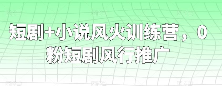 短剧+小说风火训练营，0粉短剧风行推广-点子口袋网