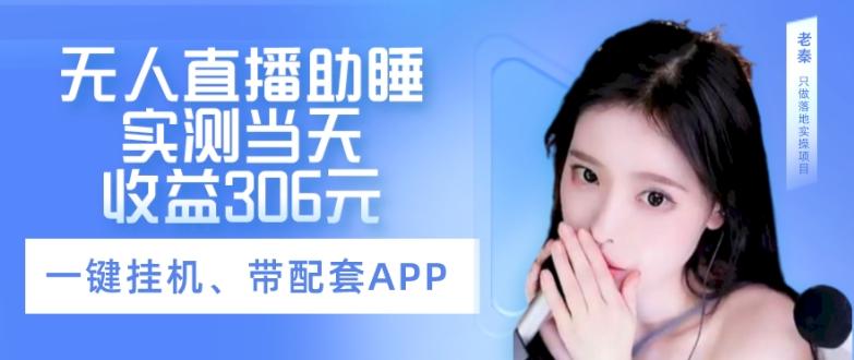 无人直播助睡、实测当天变现306元、一键挂机即可-点子口袋网