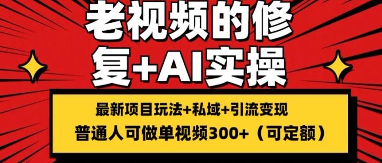 修复老视频的玩法，搬砖+引流的变现(可持久)，单条收益300+【揭秘】-点子口袋网