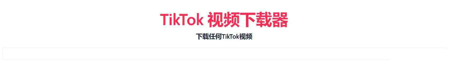 TikTok无水印下载的网站-点子口袋网