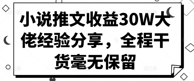 小说推文收益30W大佬经验分享，全程干货毫无保留-点子口袋网
