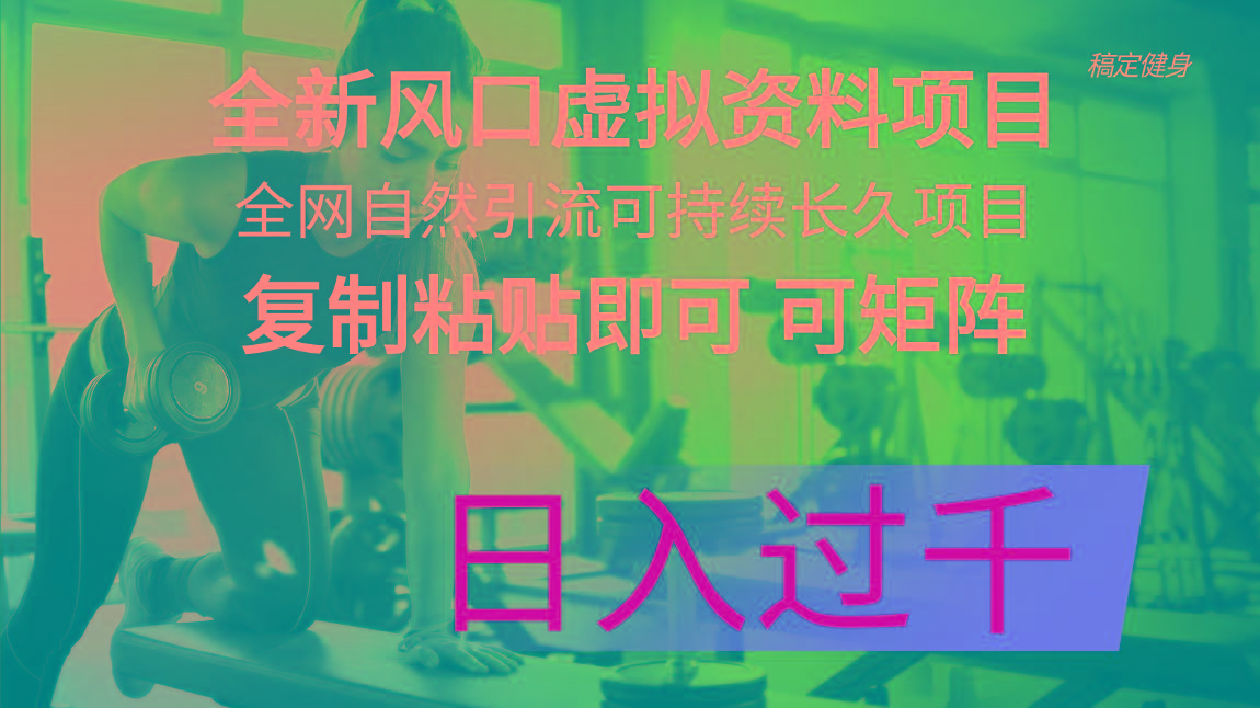 全新风口虚拟资料项目 全网自然引流可持续长久项目 复制粘贴即可可矩阵...-点子口袋网