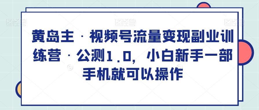 黄岛主·视频号流量变现副业训练营·公测1.0，小白新手一部手机就可以操作-点子口袋网
