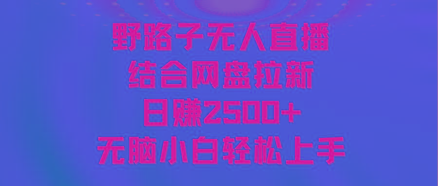无人直播野路子结合网盘拉新，日赚2500+多平台变现，小白无脑轻松上手操作-点子口袋网
