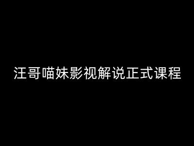 汪哥影视解说正式课程：剪映/PR教学/视解说剪辑5大黄金法则/全流程剪辑7把利器等等-点子口袋网