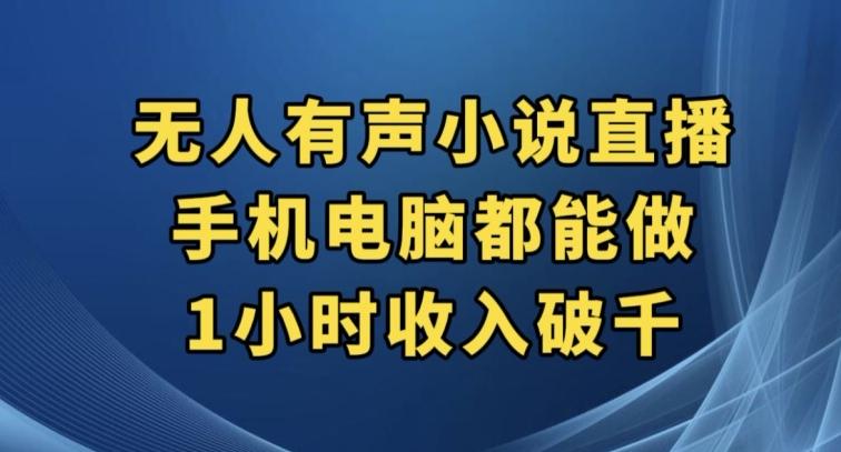 抖音无人有声小说直播，手机电脑都能做，1小时收入破千【揭秘】-点子口袋网