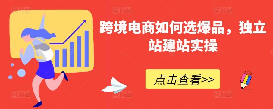 跨境电商如何选爆品，独立站建站实操-点子口袋网