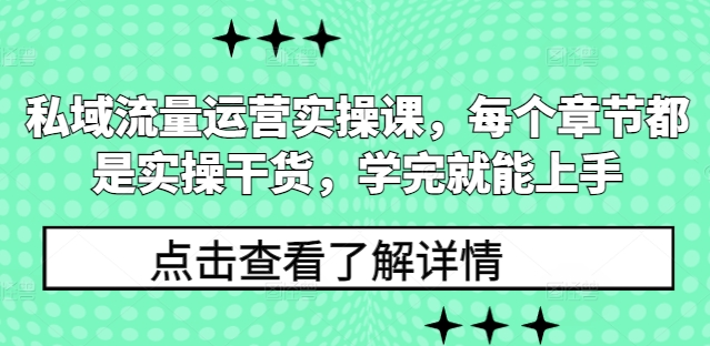 私域流量运营实操课，每个章节都是实操干货，学完就能上手-点子口袋网