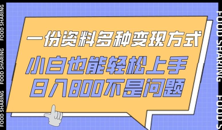 一份资料多种变现方式，小白也能轻松上手，日入800不是问题【揭秘】-点子口袋网