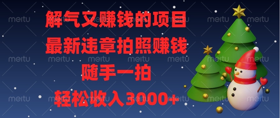 解气又赚钱的项目，最新违章拍照赚钱，随手一拍，轻松收入3000+-点子口袋网