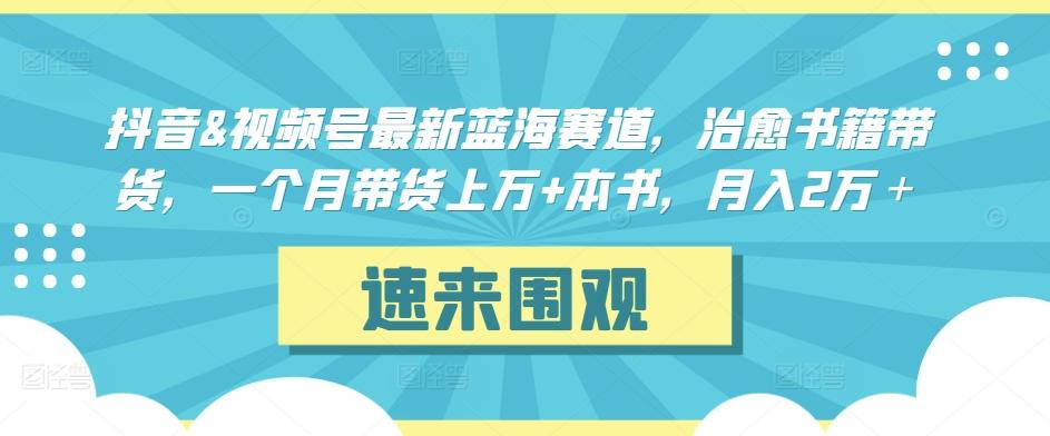 抖音&视频号最新蓝海赛道，治愈书籍带货，一个月带货上万+本书，月入2万＋【揭秘】-点子口袋网