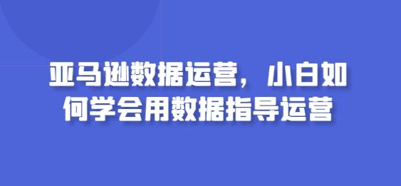 亚马逊数据运营，小白如何学会用数据指导运营-点子口袋网
