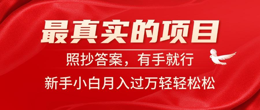 最真实的项目，照抄答案，有手就行，新手小白月入过万轻轻松松-点子口袋网