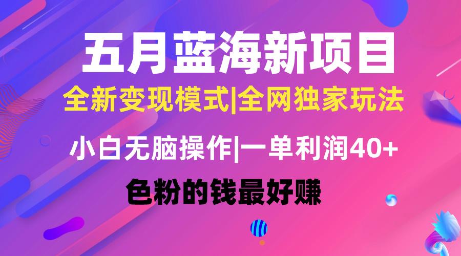 五月蓝海项目全新玩法，小白无脑操作，一天几分钟，矩阵操作，月入4万+-点子口袋网