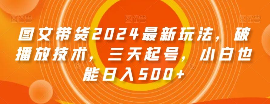 图文带货2024最新玩法，破播放技术，三天起号，小白也能日入500+【揭秘】-点子口袋网