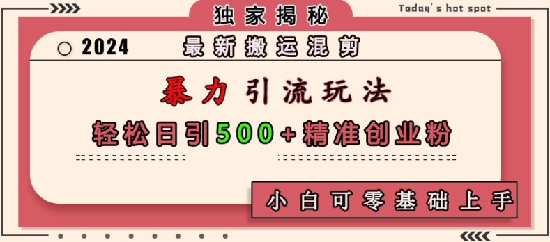 最新搬运混剪暴力引流玩法，轻松日引500+精准创业粉，小白可零基础上手-点子口袋网