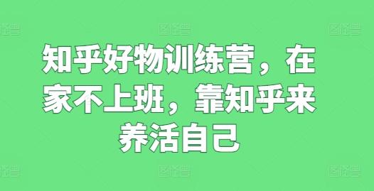 知乎好物训练营，在家不上班，靠知乎来养活自己-点子口袋网