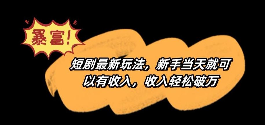 短剧最新玩法，新手当天就可以有收入，收入轻松破万【揭秘】-点子口袋网