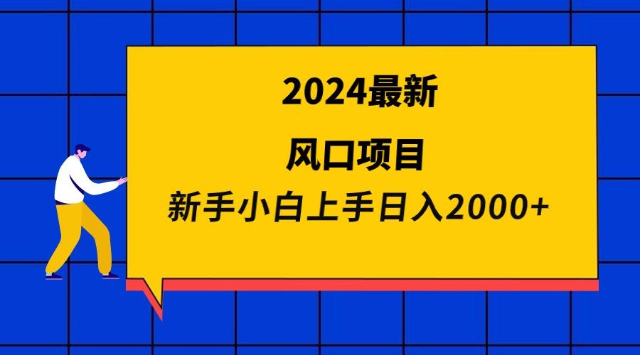 (9483期)2024最新风口项目 新手小白日入2000+-点子口袋网
