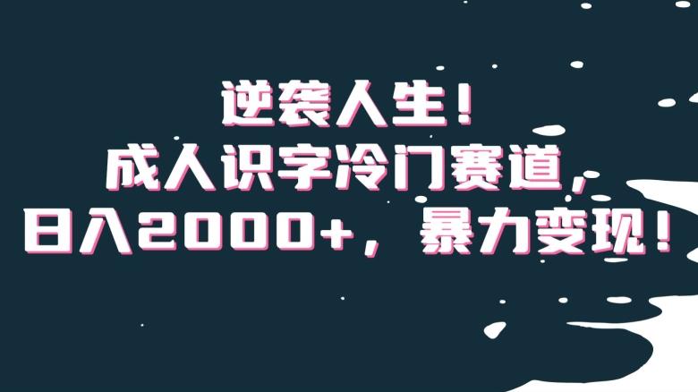 逆袭人生！成人识字冷门赛道，日入2000+，暴力变现！【揭秘】-点子口袋网