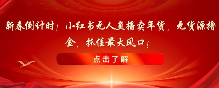 新春倒计时！小红书无人直播卖年货，无货源撸金，抓住最大风口【揭秘】-点子口袋网