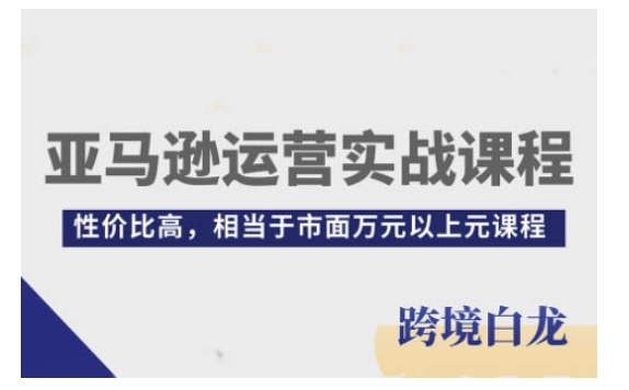 亚马逊运营实战课程，亚马逊从入门到精通，性价比高，相当于市面万元以上元课程-点子口袋网
