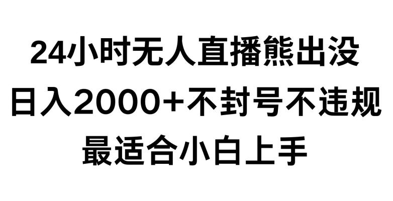 快手24小时无人直播熊出没，不封直播间，不违规，日入2000+，最适合小白上手，保姆式教学【揭秘】-点子口袋网