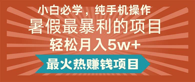 小白必学，纯手机操作，暑假最暴利的项目轻松月入5w+最火热赚钱项目-点子口袋网