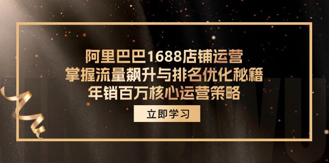 阿里巴巴1688店铺运营，掌握流量飙升与排名优化秘籍 年销百万核心运营策略-点子口袋网