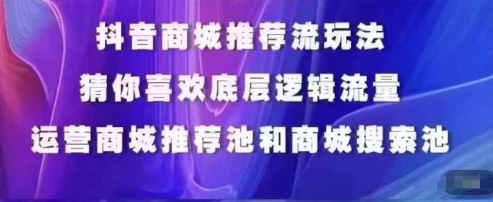 抖音商城运营课程，猜你喜欢入池商城搜索商城推荐人群标签覆盖-点子口袋网