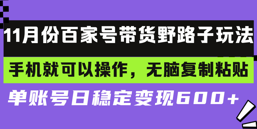 百家号带货野路子玩法 手机就可以操作，无脑复制粘贴 单账号日稳定变现...-点子口袋网
