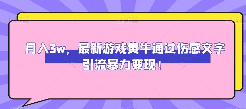 月入3w，最新游戏黄牛通过伤感文字引流暴力变现-点子口袋网