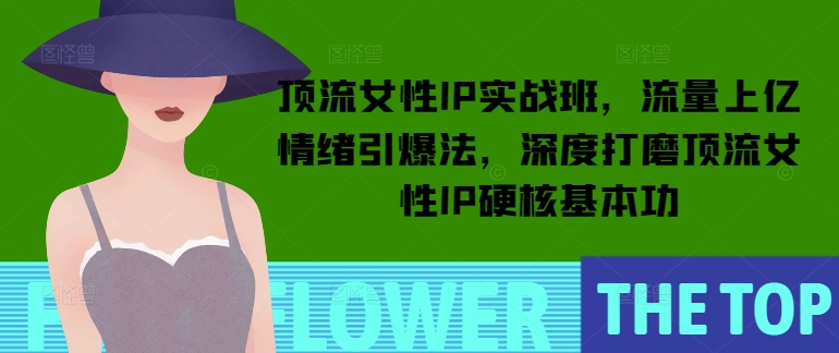 顶流女性IP实战班，流量上亿情绪引爆法，深度打磨顶流女性IP硬核基本功-点子口袋网