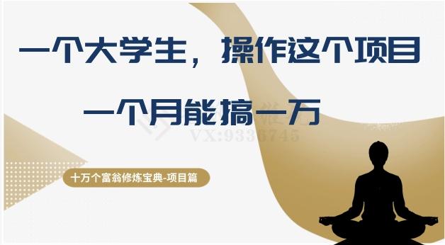 十万个富翁修炼宝典之4.一个大学生操作这个项目，一个月能搞一万-点子口袋网