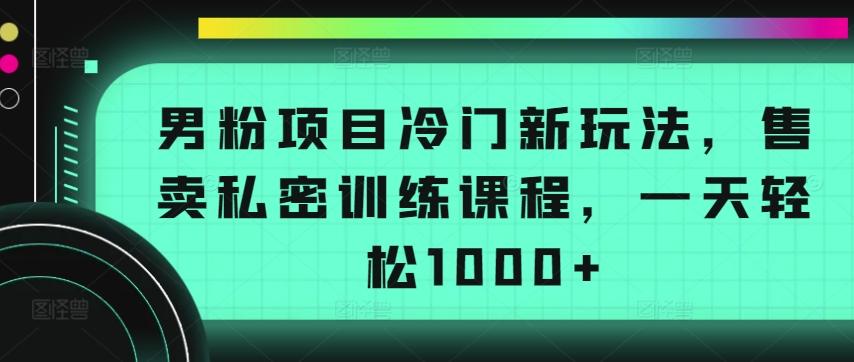 男粉项目冷门新玩法，售卖私密训练课程，一天轻松1000+【揭秘】-点子口袋网