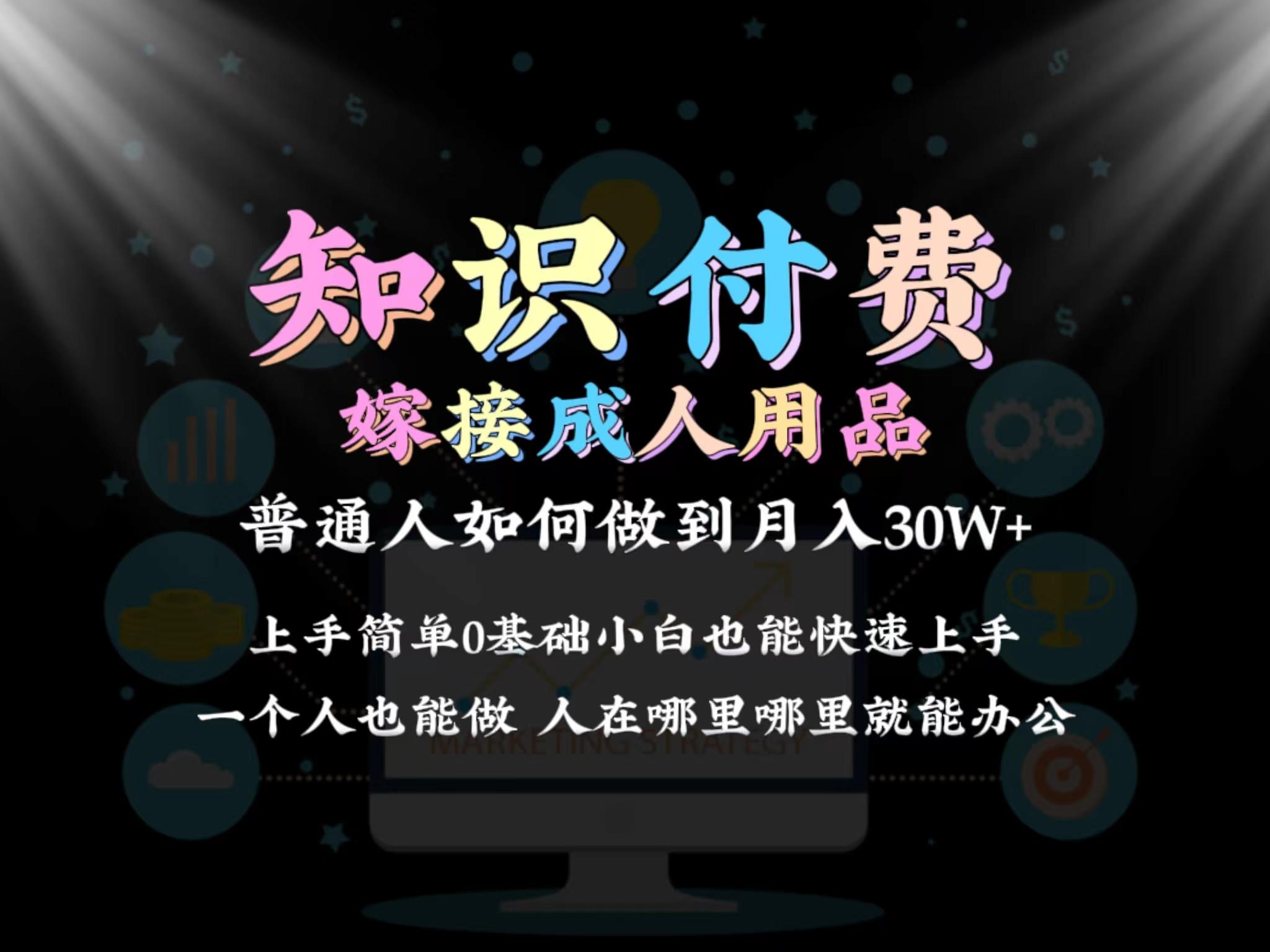 2024普通人做知识付费结合成人用品如何实现单月变现30w 保姆教学1.0-点子口袋网